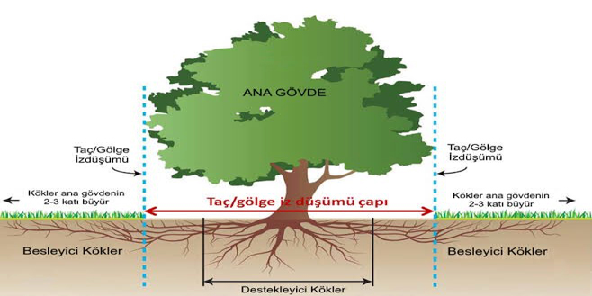 agac-1